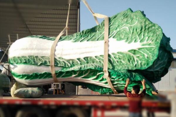 大白菜二.jpg 大白菜二.jpg